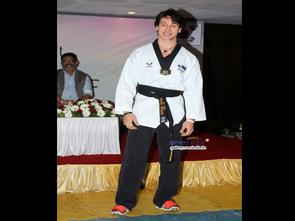 Tiger Wearing A Black Belt